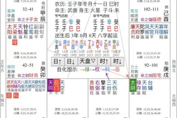 适合当艺术家的紫薇斗数