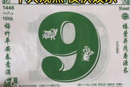 黄历2024年黄道吉日查询结婚属相猪  黄历查询2024黄道吉日