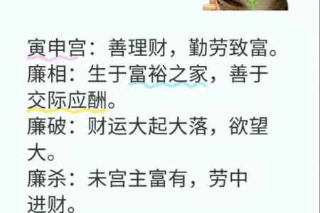 紫微斗数诸星落诸宫之：廉贞星父母宫详解