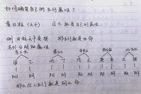 八字算命-2024年春节出生的牛宝宝五行缺什么,命运如何