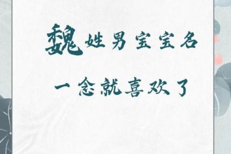 魏姓女孩生辰八字起名字  生辰八字起名免费网站
