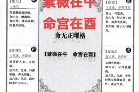 紫薇斗数命宫吉