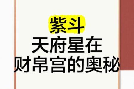 紫薇斗数财帛有天机