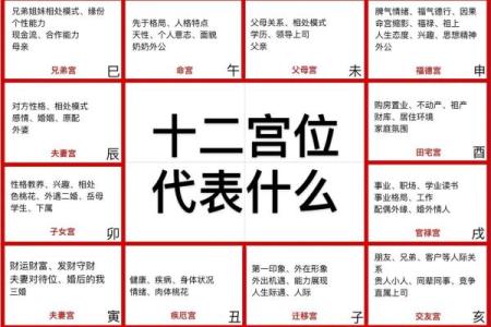 长寿的紫薇斗数