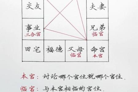 紫薇斗数和子平术