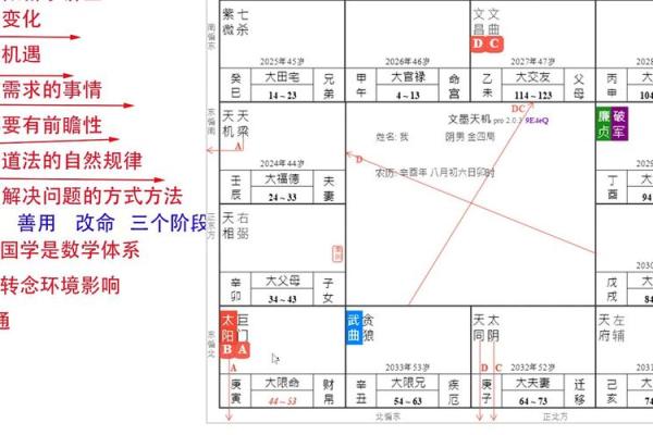 解说紫微斗数 深入解读紫微斗数？
