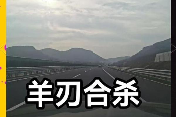 八字阳刃格女命是什么意思