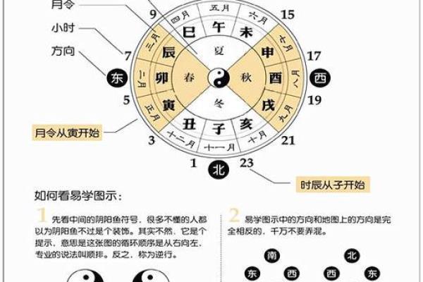 八字属阳属阴测试