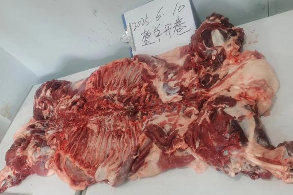 紫薇斗数限羊
