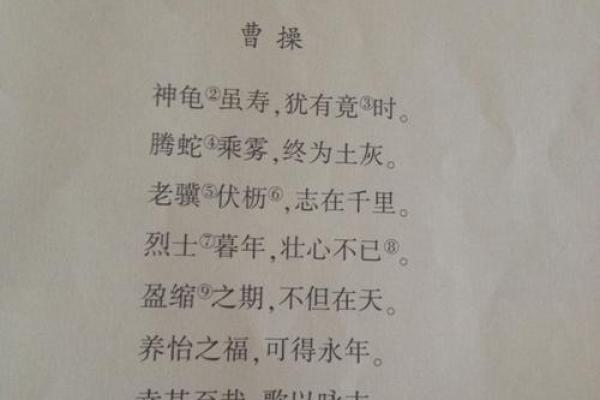 八字八行古诗