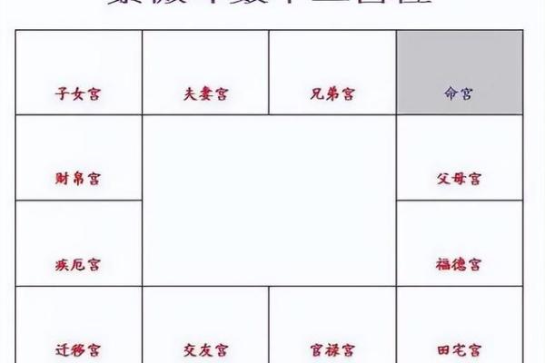 紫薇斗数命盘如何排