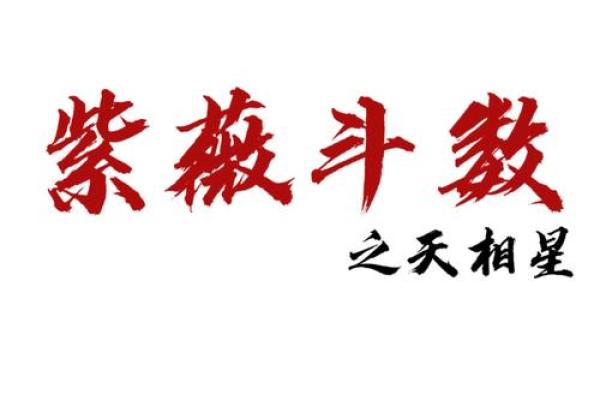 天虚紫薇斗数