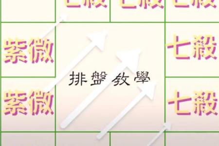 注定紫薇斗数吧