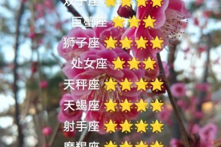 看今天星座的运势如何