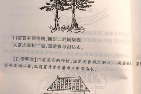 房子左右风水讲究