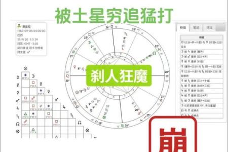 如何查看自己的星盘 个人星盘查询方法