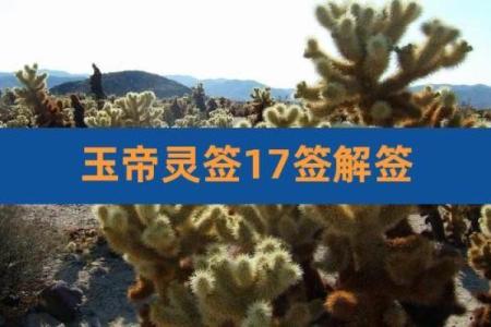玉皇大帝灵签65上上