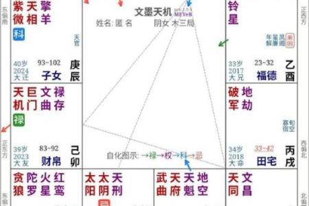紫薇斗数里面的岁驿是什么意思