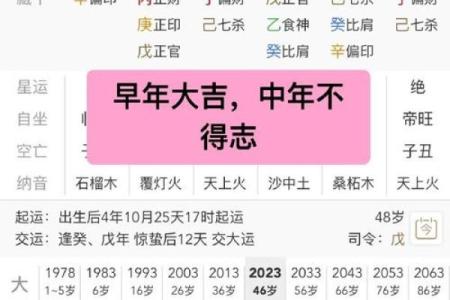 八字中无官