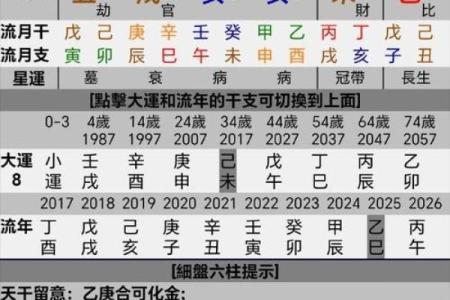 制金水结构八字分析详解，助你深入了解八字命理！