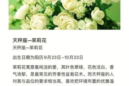 十二星座代表的守护花都有哪些呢