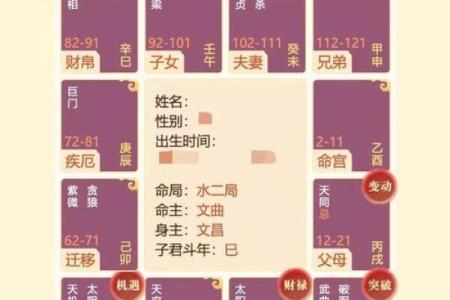 紫薇斗数看月运