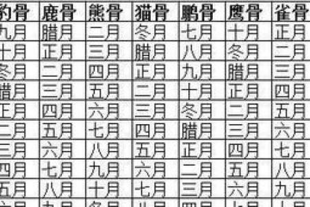 农历年月骨相算命图解,熊骨的人命好