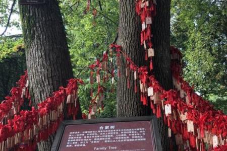 泰山月老庙求姻缘 泰山月老庙求姻缘怎么求？
