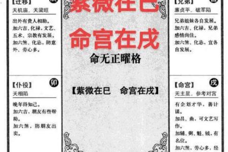 紫薇斗数命宫算法