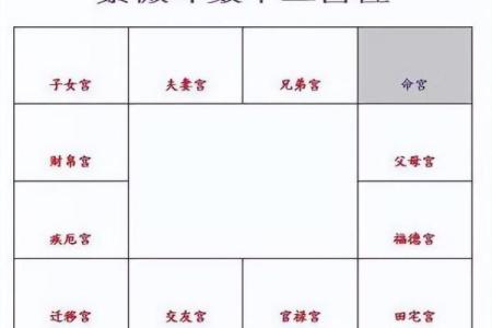 紫薇斗数命盘如何排