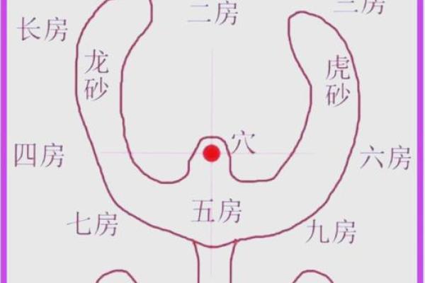 房子风水用什么看的最准