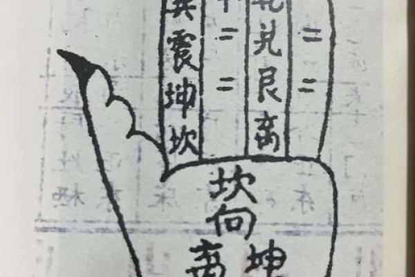 一掌算命