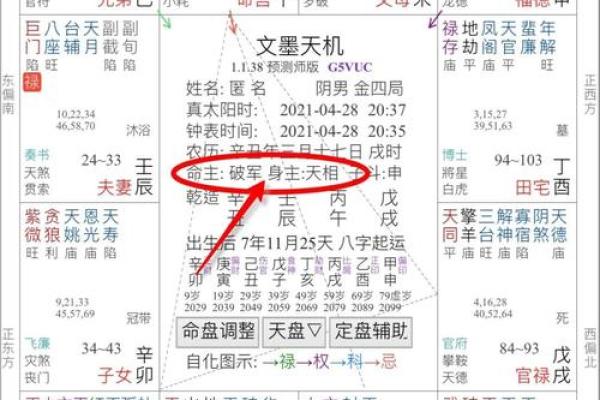 紫薇斗数的身主是什么