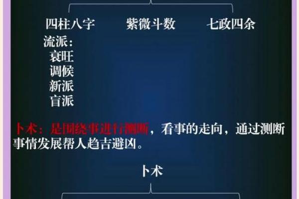 包含紫薇斗数推断实例的词条