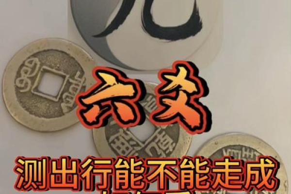 香港的综艺节目算命风水
