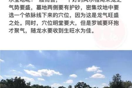 教你学会怎样看风水墓地宝地