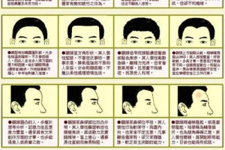 男测脸面相算命图解大全