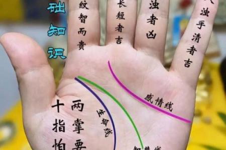 看手相算命：第四课 论事业命运