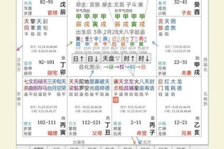 紫薇斗数看文采