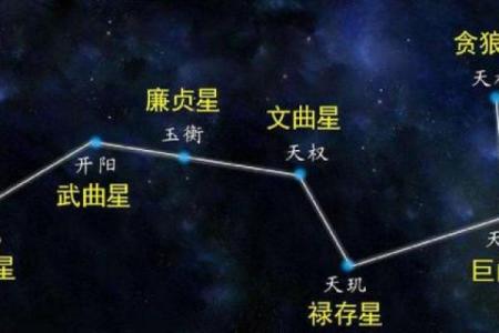 灵机紫薇斗数大师