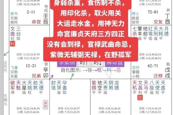 紫薇斗数预测疫情