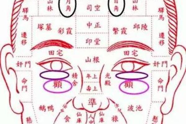 面相八字学：如何看懂一个人的性格与命运？