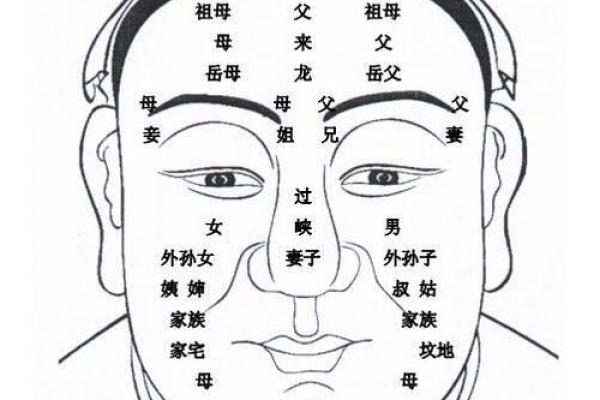 面相算命入门：五行与相貌