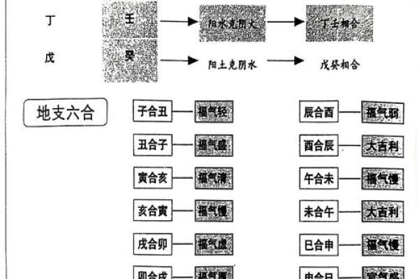 八字中地支半合局是什么意思