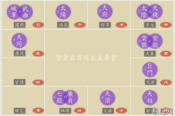 紫薇斗数感情分析