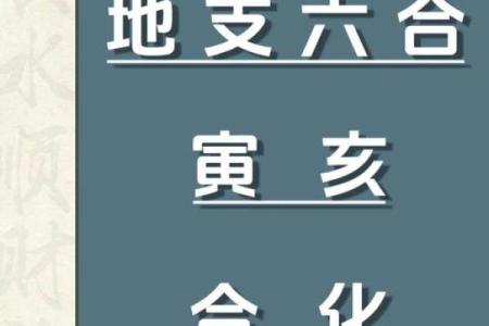 八字带丙辛合而不化