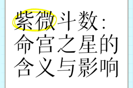紫微斗数同盘不同运 紫微斗数基本盘相同的人？