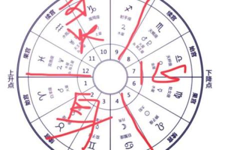 星盘十二宫代表什么 十二宫位详解