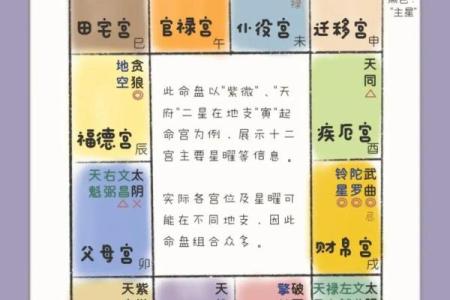 紫薇斗数星盘下载