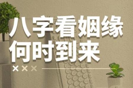 免费算命自己的姻缘